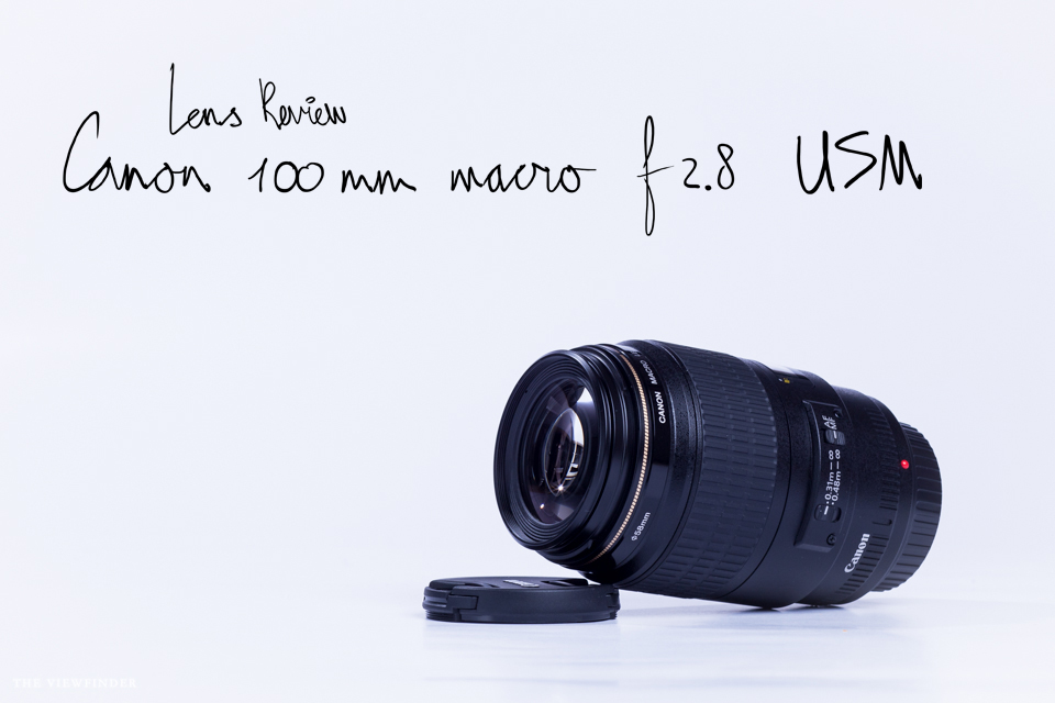 canon 100mm macro lens review gear | ©THE VIEWFINDER-7938 title